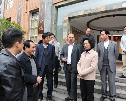 刘朝容莅临贵州LUTUBE下载地址集团视察党建工作