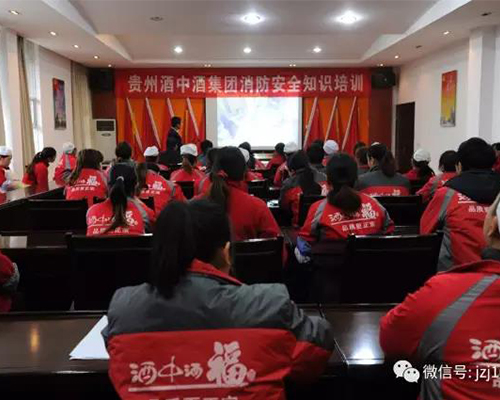 贵州LUTUBE下载地址集团召开消防知识普及讲座