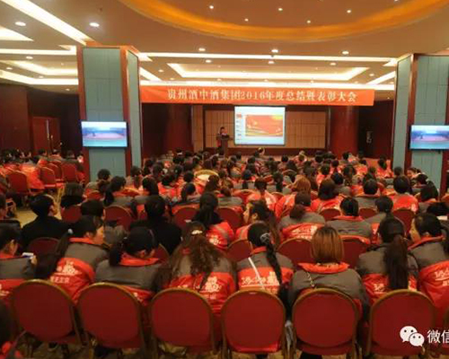 贵州LUTUBE下载地址集团2016年度总结暨表彰大会圆满召开